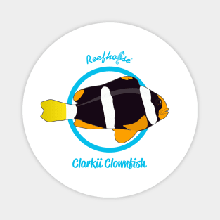 Clarkii Clownfish Magnet